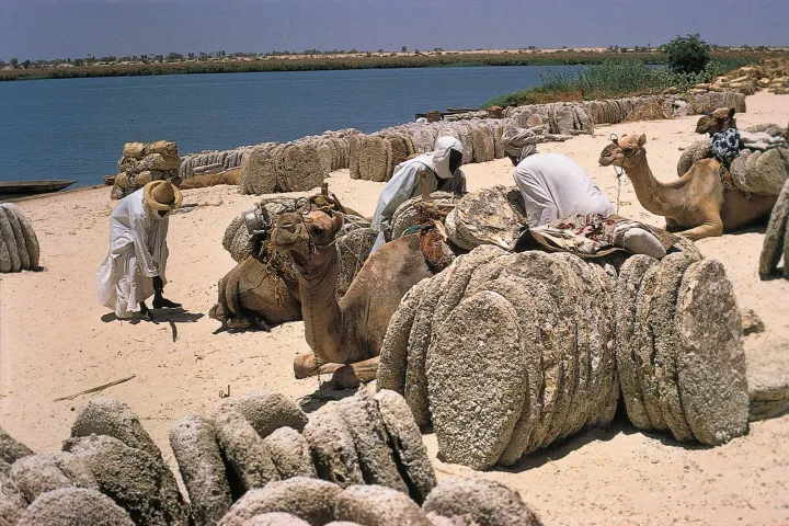 Abın da ya kamata su sanı game da yankın Tafkin Chadi